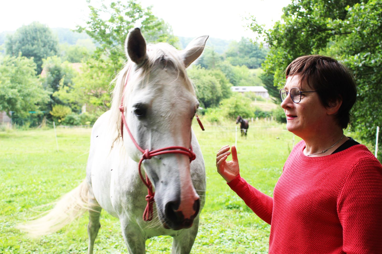 Équicoaching Morville-le-Héron — homme interagit avec un cheval