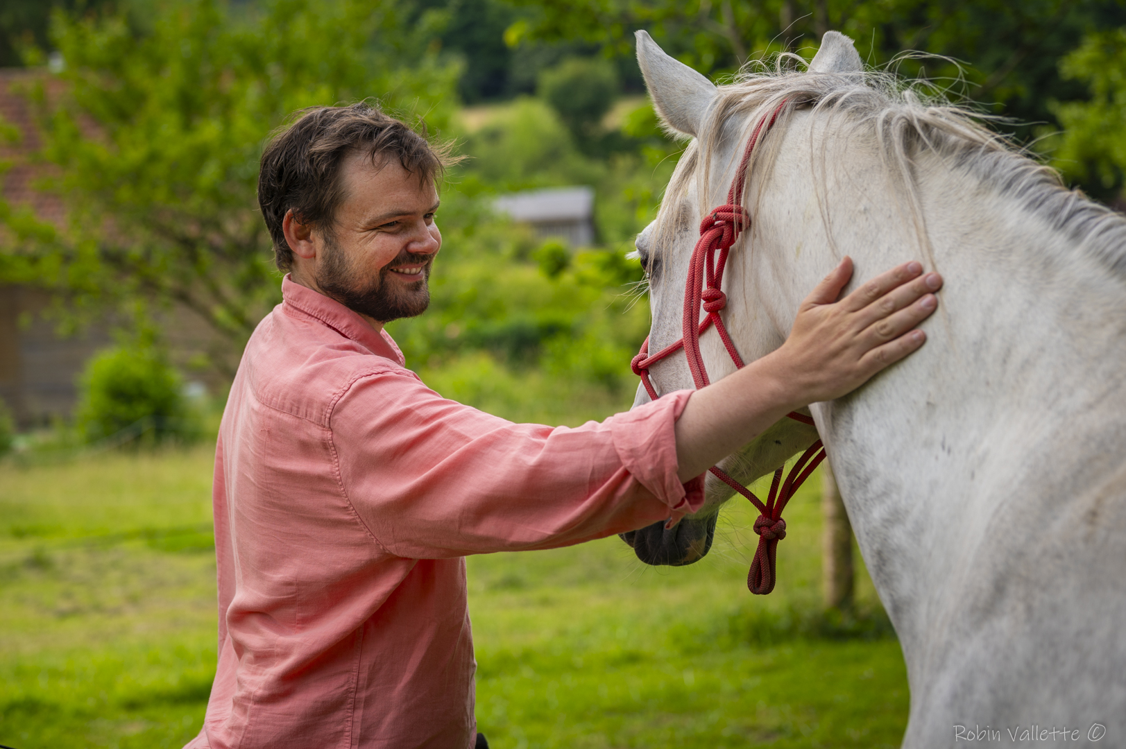 Equicoaching Morville-le-Héron — homme interagit avec un cheval dans un pré