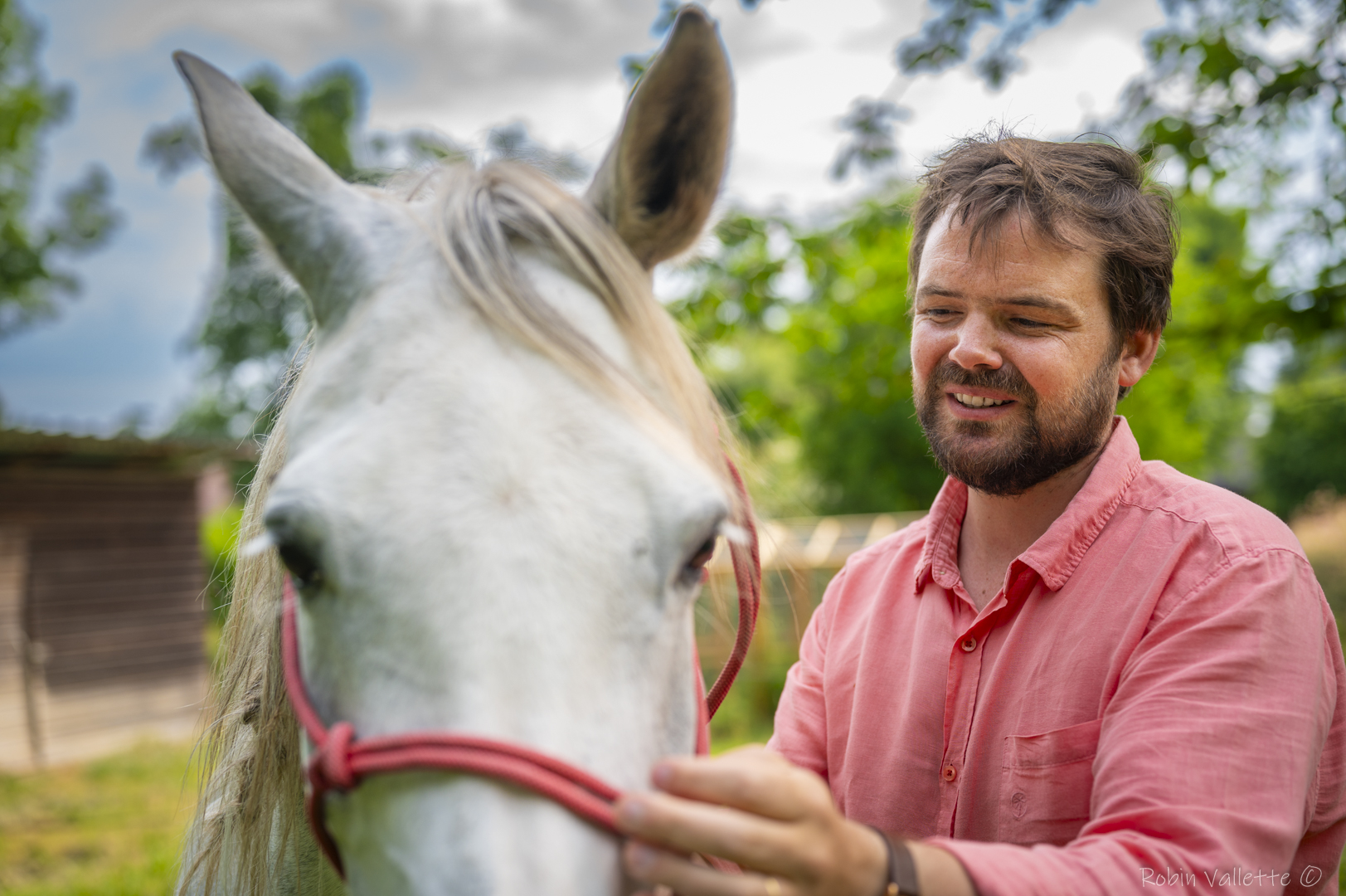 Equicoaching Morville-le-Héron — homme interagit avec un cheval dans un manège