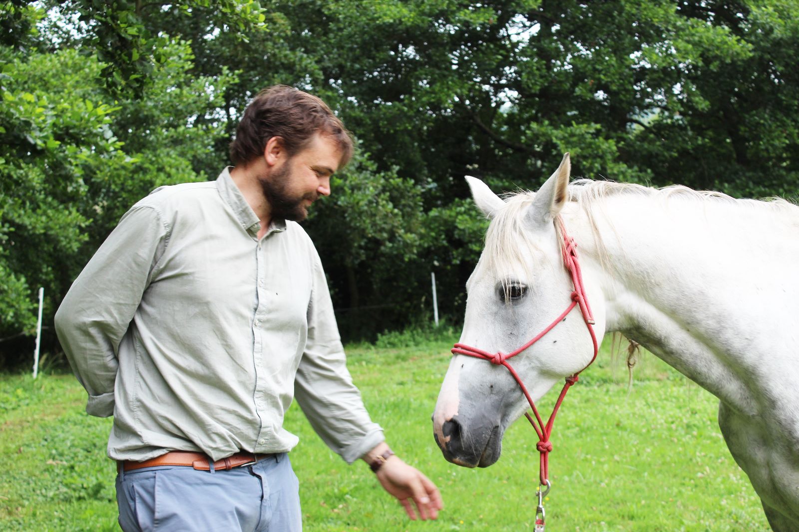 Equicoaching Morville-le-Héron — Groupe d'employés autour d'un cheval dans un parc